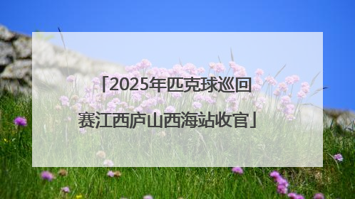 2025年匹克球巡回赛江西庐山西海站收官