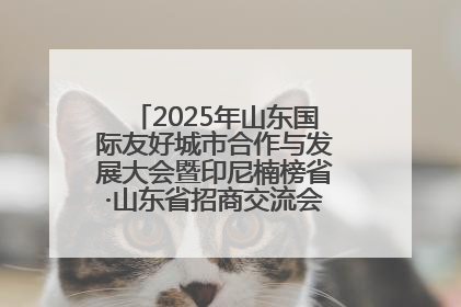 2025年山东国际友好城市合作与发展大会暨印尼楠榜省·山东省招商交流会在济南槐荫举行