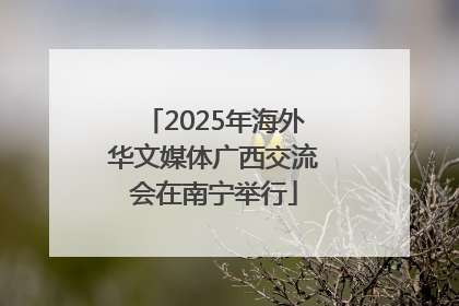 2025年海外华文媒体广西交流会在南宁举行