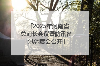 2025年河南省总河长会议暨防汛备汛调度会召开