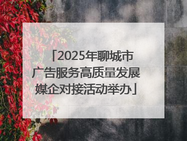 2025年聊城市广告服务高质量发展媒企对接活动举办
