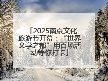 2025南京文化旅游节开幕：“世界文学之都”用百场活动等你打卡