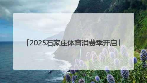 2025石家庄体育消费季开启
