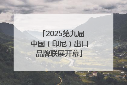 2025第九届中国（印尼）出口品牌联展开幕