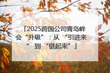 2025跨国公司青岛峰会“升级”：从 “引进来” 到 “链起来”