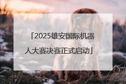 2025雄安国际机器人大赛决赛正式启动
