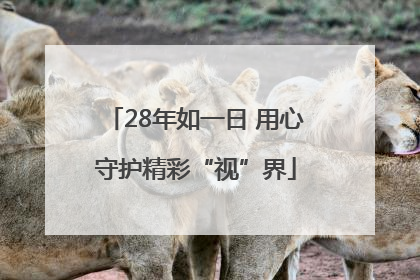 28年如一日 用心守护精彩“视”界