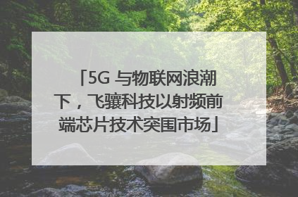 5G 与物联网浪潮下，飞骧科技以射频前端芯片技术突围市场