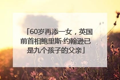 60岁再添一女，英国前首相鲍里斯·约翰逊已是九个孩子的父亲