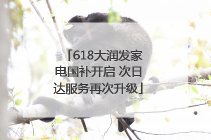 618大润发家电国补开启 次日达服务再次升级