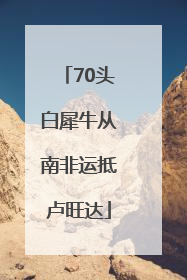 70头白犀牛从南非运抵卢旺达