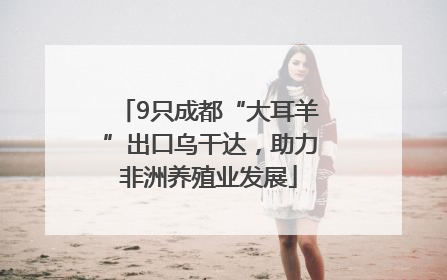 9只成都“大耳羊”出口乌干达，助力非洲养殖业发展