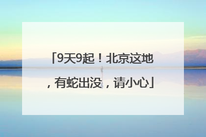 9天9起！北京这地，有蛇出没，请小心