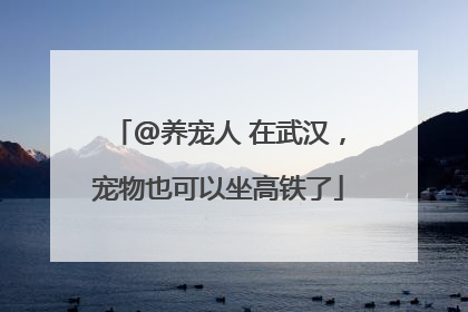 @养宠人 在武汉，宠物也可以坐高铁了