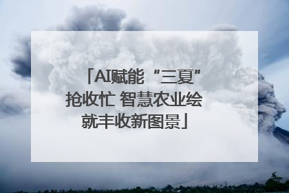 AI赋能“三夏”抢收忙 智慧农业绘就丰收新图景