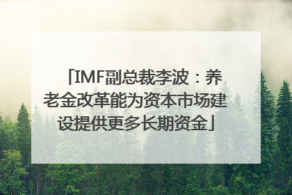 IMF副总裁李波：养老金改革能为资本市场建设提供更多长期资金