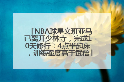 NBA球星文班亚马已离开少林寺，完成10天修行：4点半起床，训练强度高于武僧